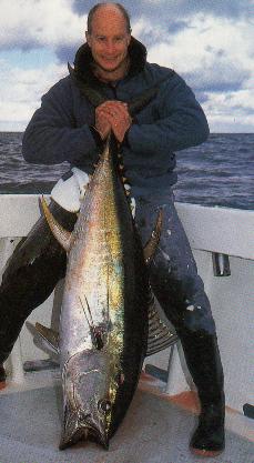 Image of yellowfin.jpg